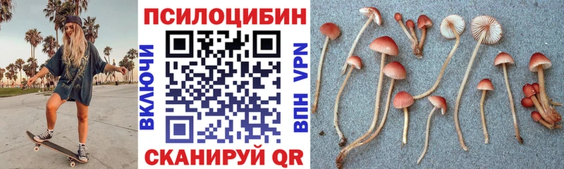дарк нет наркотические препараты  Чулым  Псилоцибиновые грибы мухоморы 
