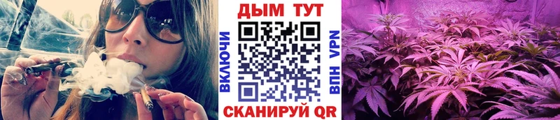 Марихуана планчик  Чулым 